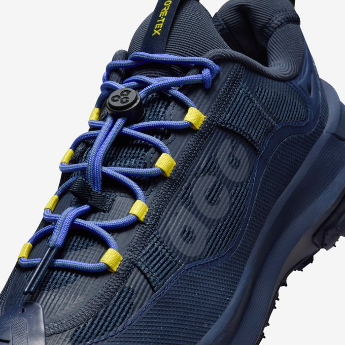 Nike ACG Mountain Fly 2 Low GORE-TEX Style: HF6245-400