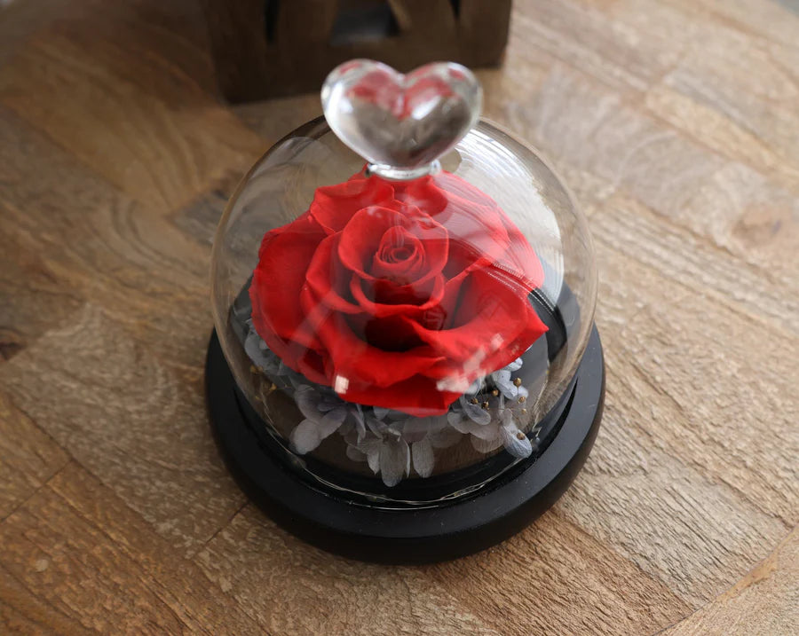 Preserved Rose in Heart Design Glass Dome