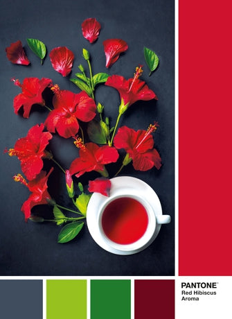 Clementoni Pantone Red Hibiscus Aroma Flower Scene 1000 Piece Jigsaw Puzzle New