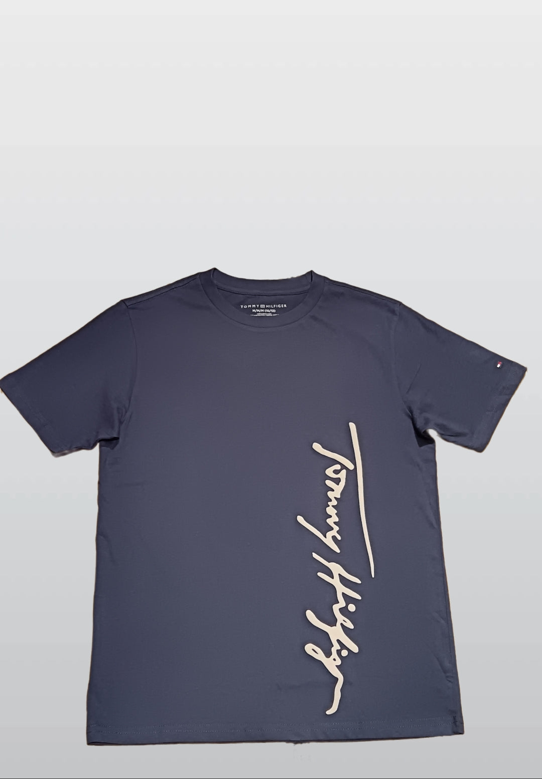 Tommy Hilfiger Men’s Navy Cotton T-Shirt – Classic Logo
