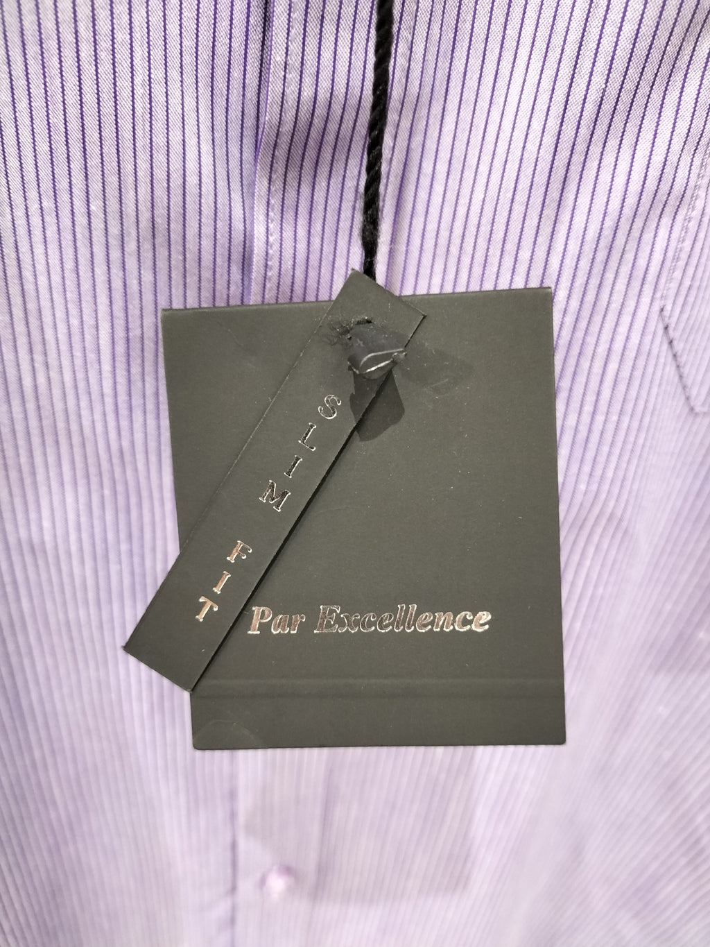 Par Excellence Violet Dress Shirt Men