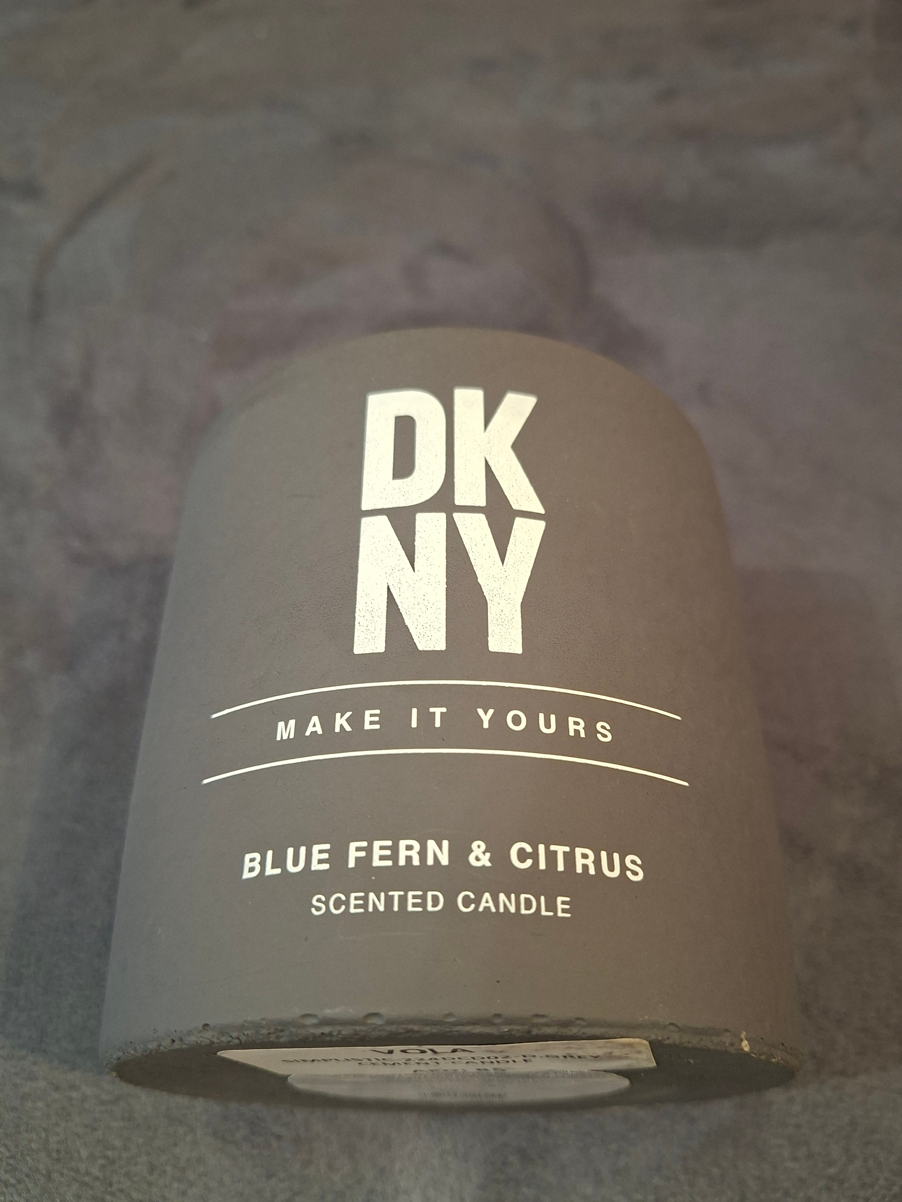 DKNY Blue Fern & Citrus Cement Scented Candle - Grey 224DCD02