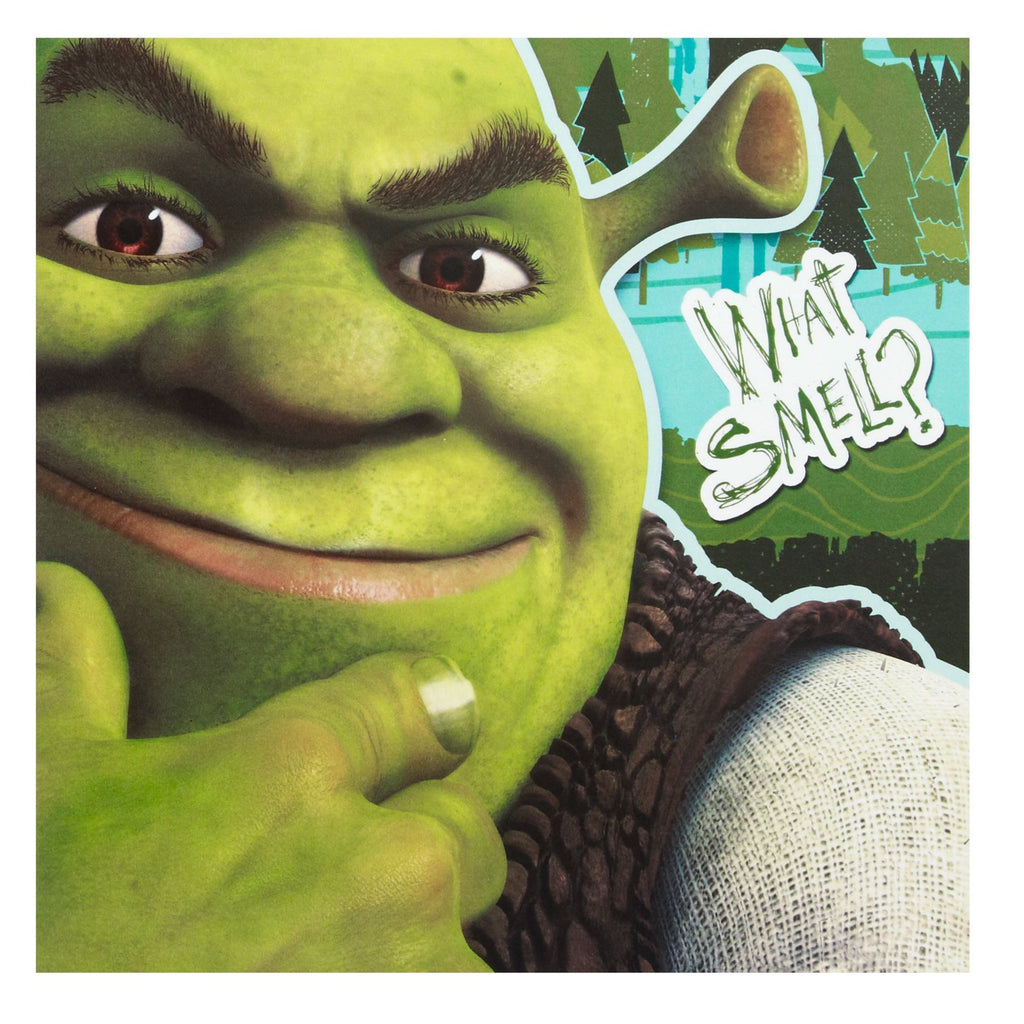 Dreamworks Shrek Forever After - 16 Napkins Party Supplies (32.2 x 32.5 cm)