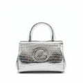 Silver Bag Front