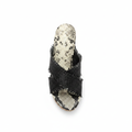 Snake Print Wedge Slide – Top